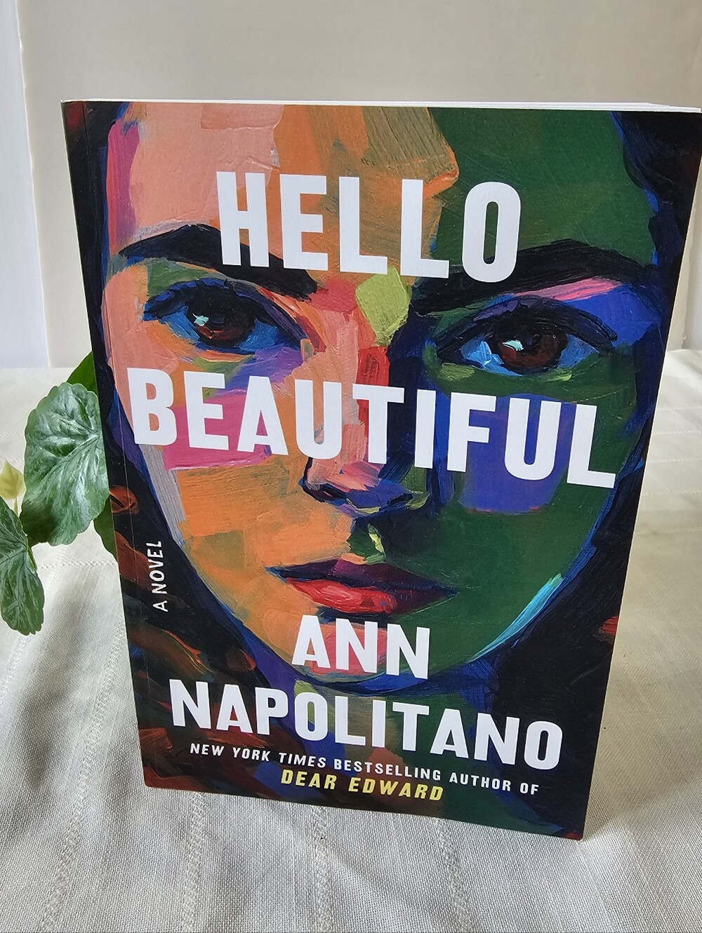 Hello Beautiful by Ann Napolitano Paperback Novel Bestseller